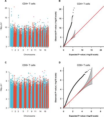 Genome-Wide DNA Methylation Profiles Reveal Common Epigenetic Patterns of Interferon-Related Genes in Multiple Autoimmune Diseases